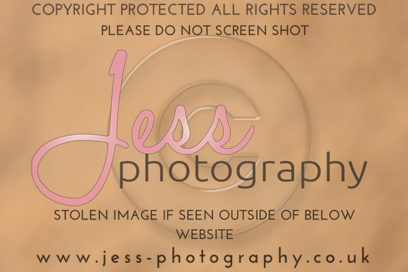 TSJ_0558