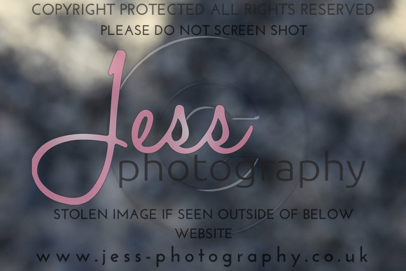 JES_5378