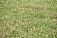 JPG_7005