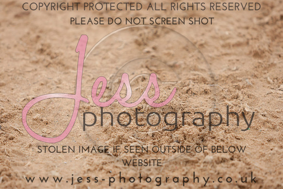 TGSJ1132