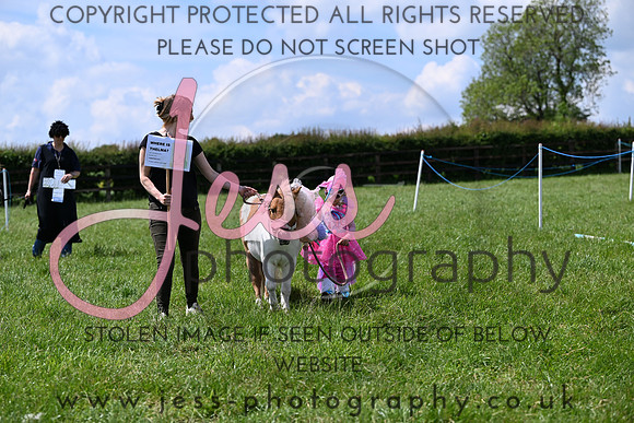NCHPC2R1 (268)