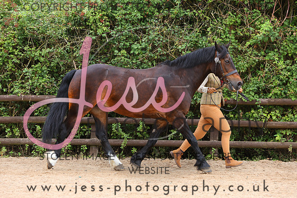 TGS_0639
