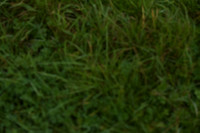 JPG_6629