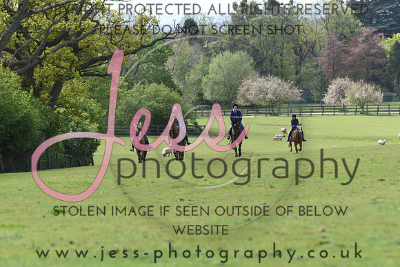 JES_3674