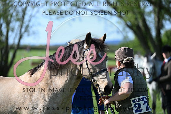 TGIS (326)