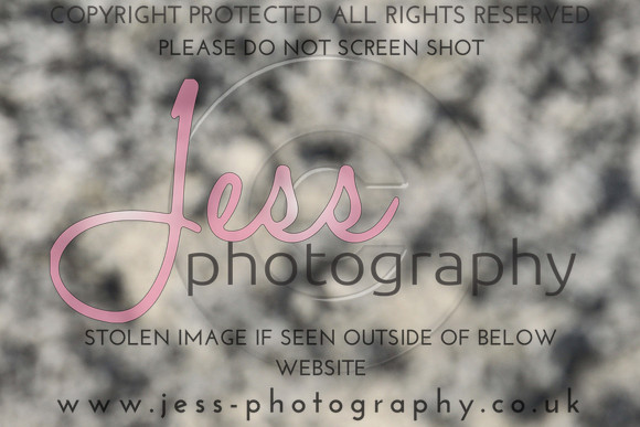 JES_6152