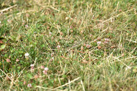 JPG_7191