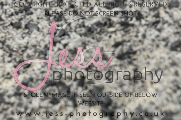 JES_6265