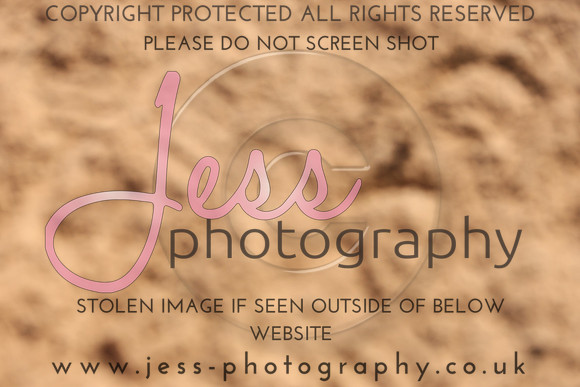 TSJ_0420