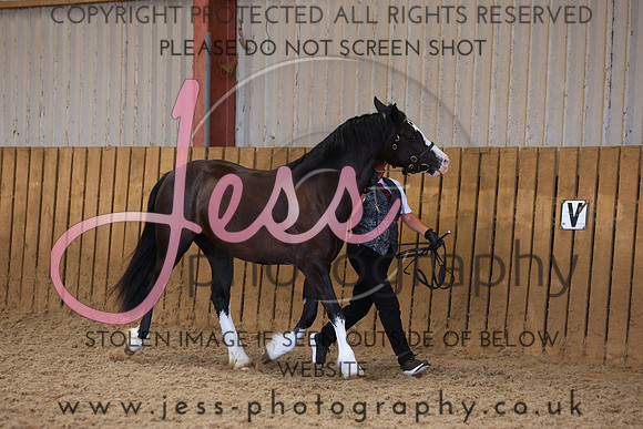 TGS_0918