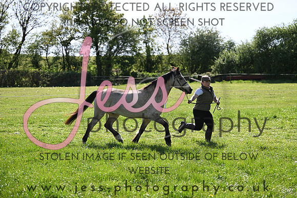 TGIS (301)
