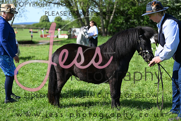 TGIS (267)