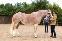 TGS_0598