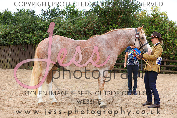 TGS_0598
