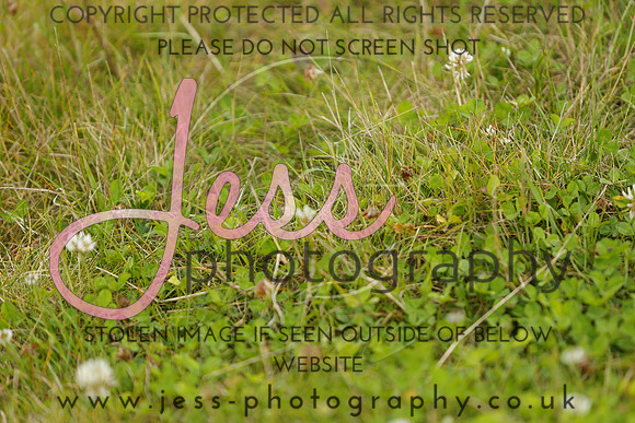_MGM0470