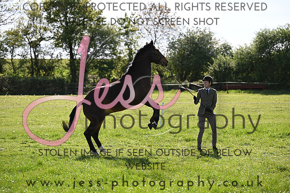 TGIS (397)