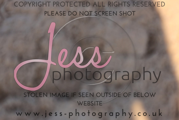 TSJ_0319