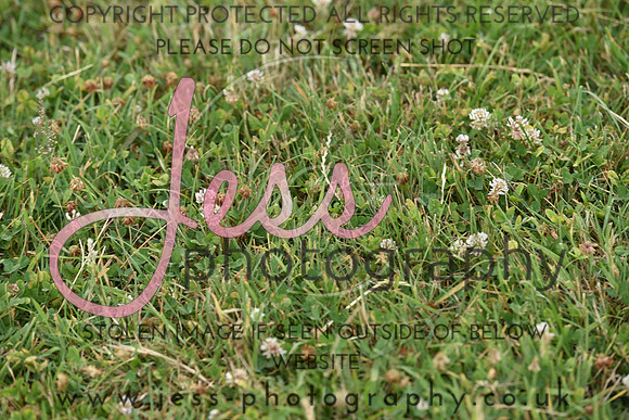 JPG_7044
