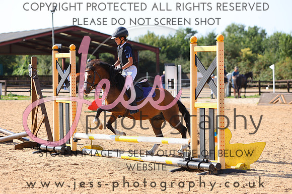 TSJ_0113