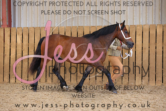 TGS_0959