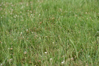 JPG_6766
