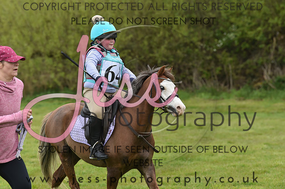 C1AM (133)