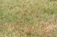 JPG_6968
