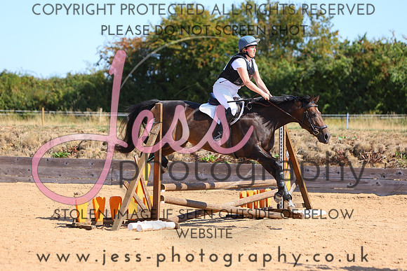 TSJ_0739