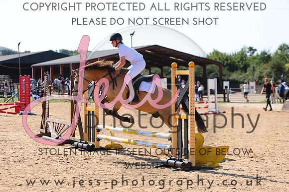 TSJ_0471
