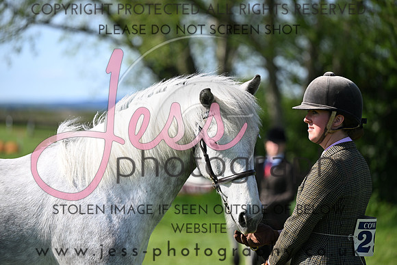TGIS (333)