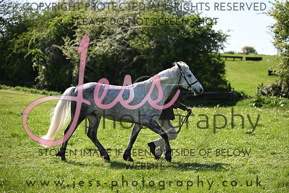 TGIS (395)