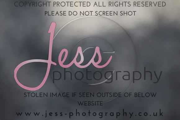 JES_5421