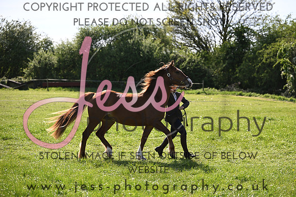 TGIS (374)