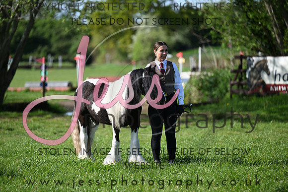 TGIS (418)