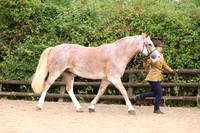 TGS_0354
