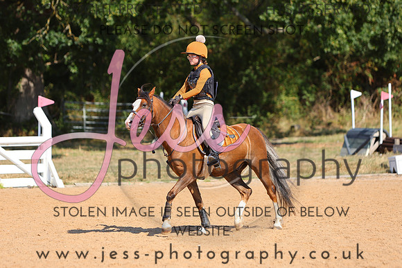 TSJ_0686