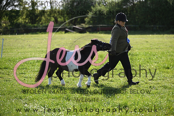 TGIS (463)