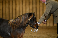 TG20 (77)