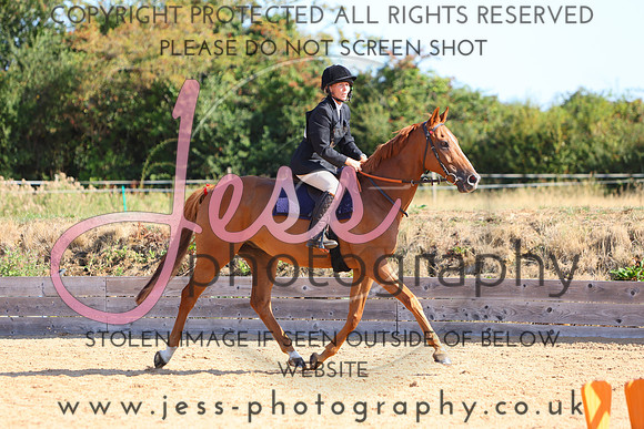 TSJ_0338