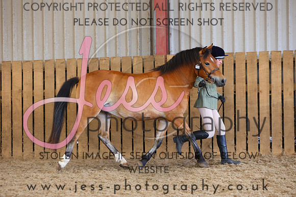 TGS_0946
