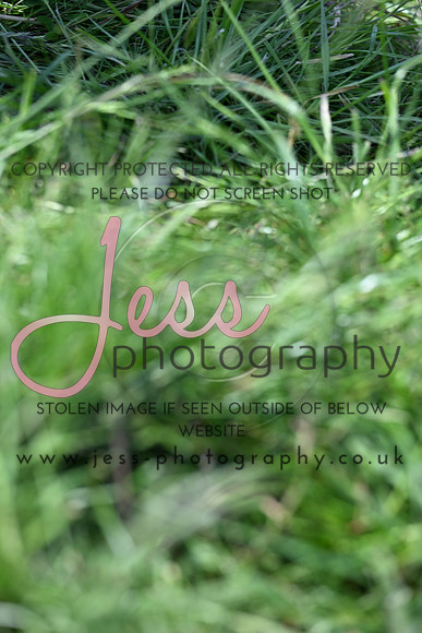 JES_1079