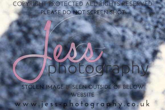 JES_5476