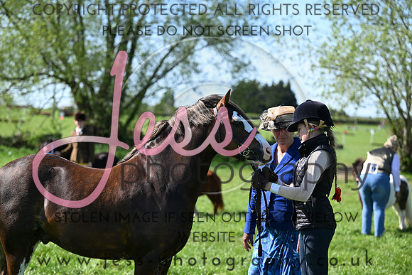 TGIS (277)
