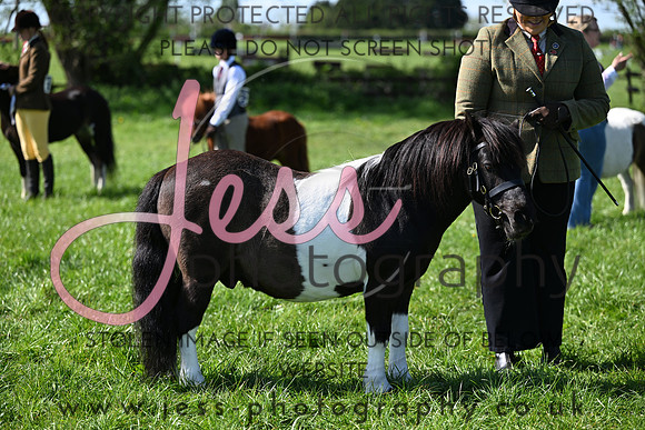 TGIS (256)