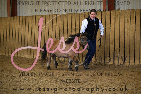 TG20 (68)