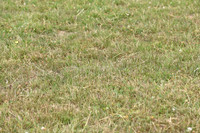 JPG_7101