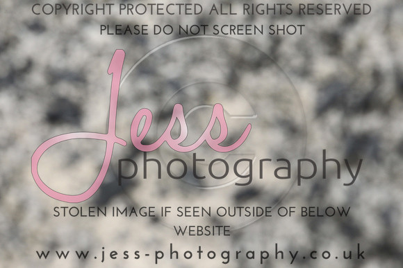 JES_6165