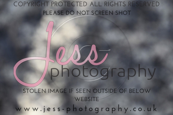 JES_5408
