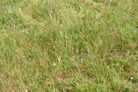 JPG_6532