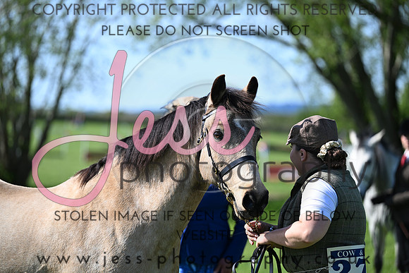 TGIS (327)